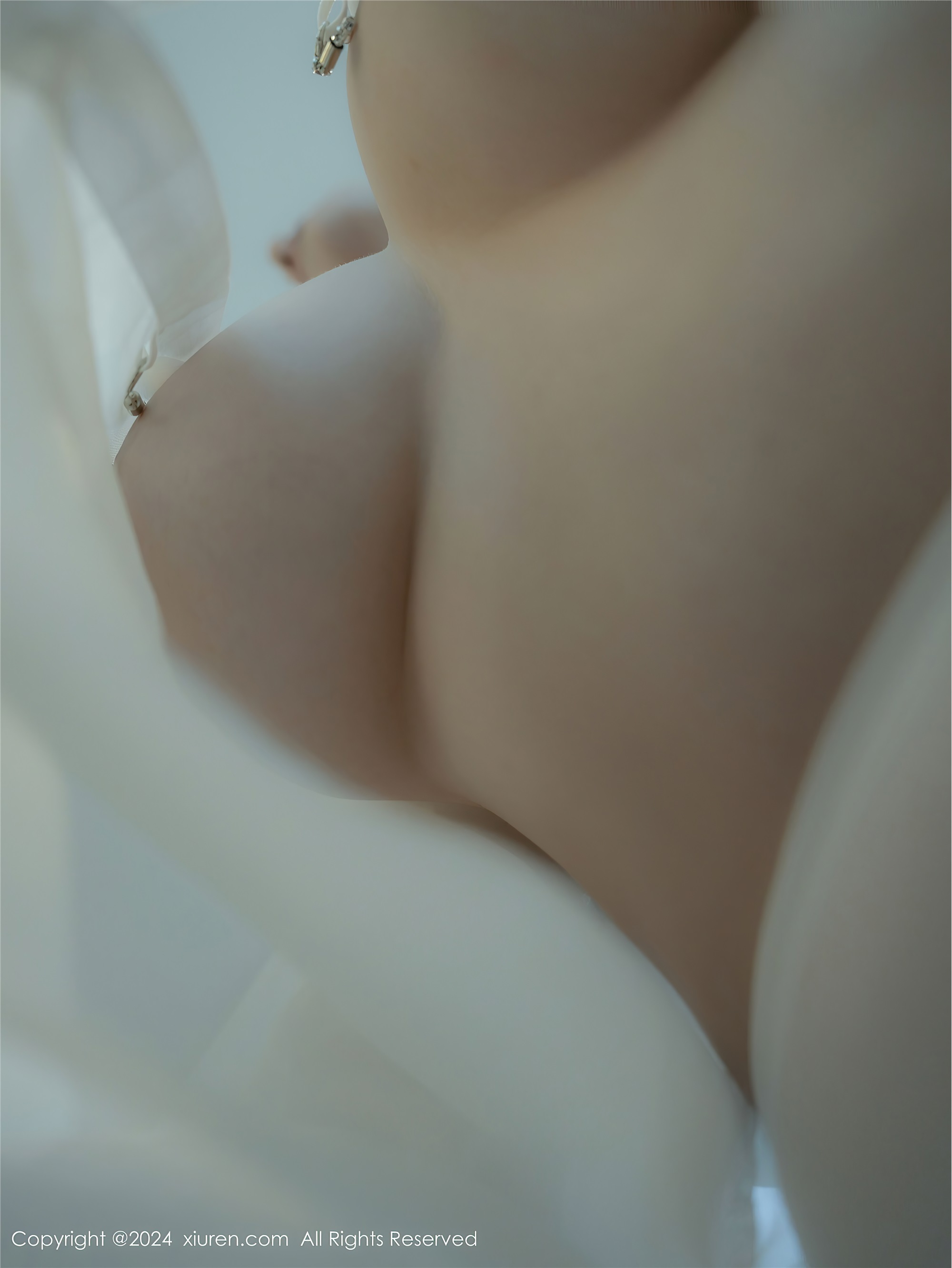 Xiuren秀人网 2024.12.27 NO.9667 袁圆